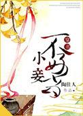 小妾不乖低眉流光免费阅读