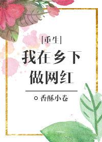 我在乡下做网红重生