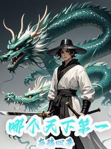 武林风主题曲歌词
