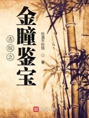 鉴宝金瞳001