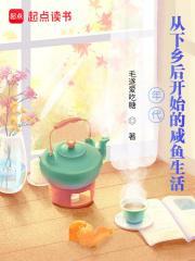 年代从下乡后开始的咸鱼生活无错