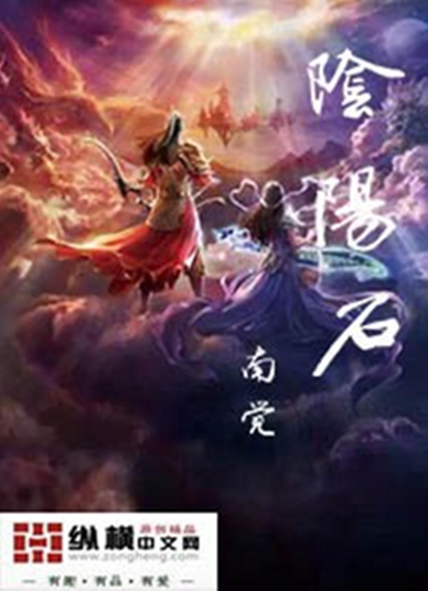 阴阳石天然观赏石