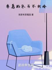 半岛上的半岛