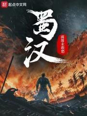 蜀汉丞相