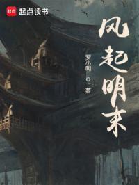 风起明末鸿宇首发