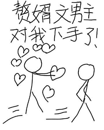 赘婿男主不好看