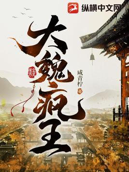 大魏疯王后宫女主