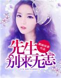 安先生别来无恙txt