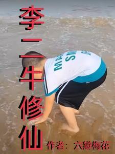男主角叫李二牛的