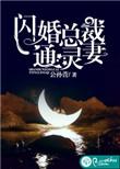 闪婚总裁免费阅读