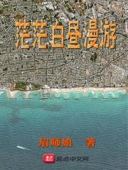 白茫茫是什么歌