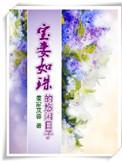 宝妻作者