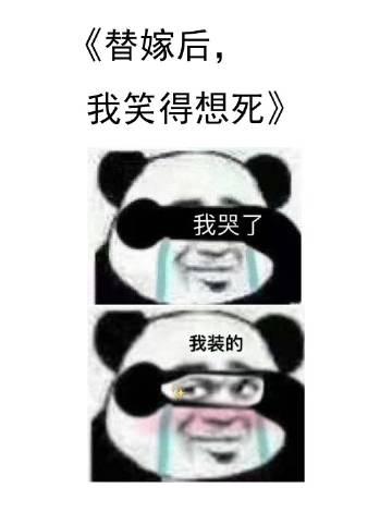 替嫁后我笑得想死讲的什么