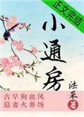 小通房 法采讲的什么