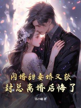 闪婚老公太霸道封以漠