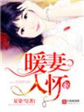 古言暖妻入我怀