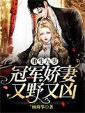 重生九零冠军娇妻又野又凶txt全本