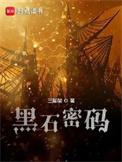 黑石密码全本TXT