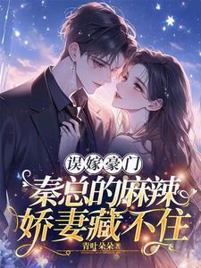 隐婚我的老公是大佬免费