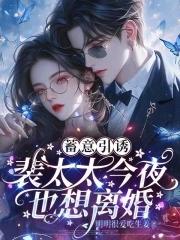 蓄意引诱裴太太今夜也想离婚完整阅读