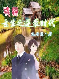 重生农村奋斗的