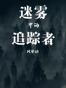 迷雾追踪的真实案例
