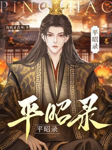平昭录讲的是什么