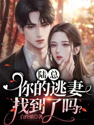 你的逃妻找到了吗免费阅读