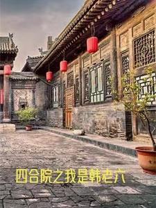 四合院之我是韩老六列表 作者包子有汤