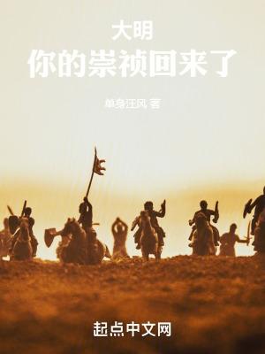 大明帝国之崇祯大帝123