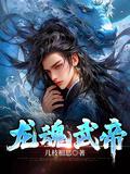 龙魂武帝等级划分