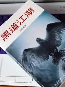 我的黑道生涯