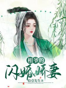 相爷家的悍妻全文免费阅读