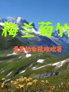 梅兰菊竹和梅兰竹菊有什么区别