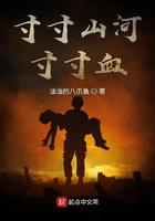 寸寸山河寸寸血 第83章