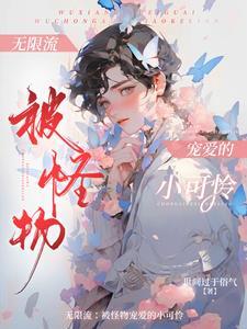 无限流装npc