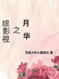 综影视花