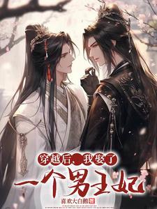 穿越后我娶了一个男王妃晋江
