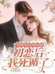 八零年军婚推荐