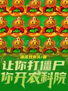 毁灭加农炮一次打几个
