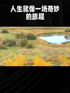 言情小故事1000字以上