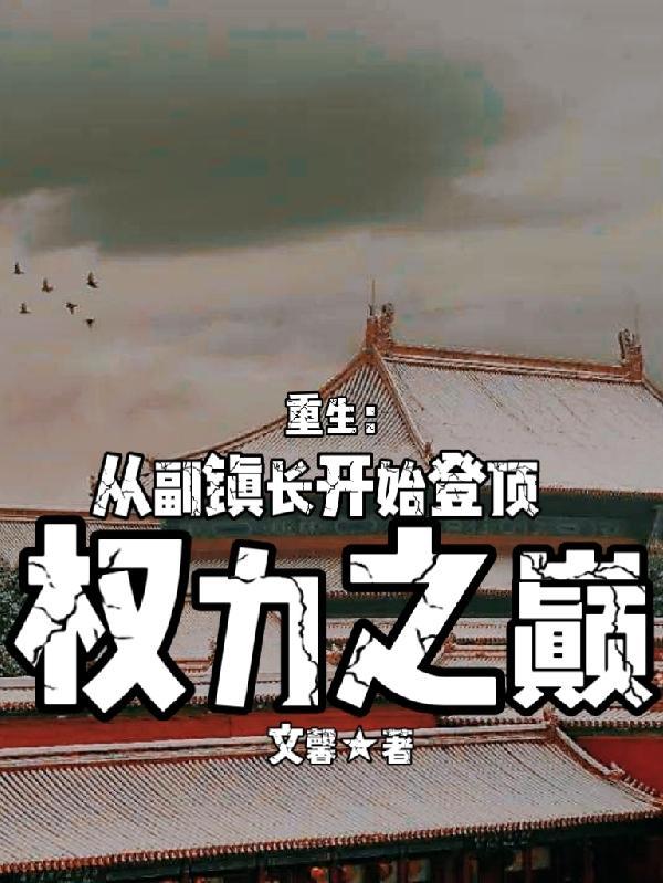 重生从副镇长开始登顶权力之巅免费