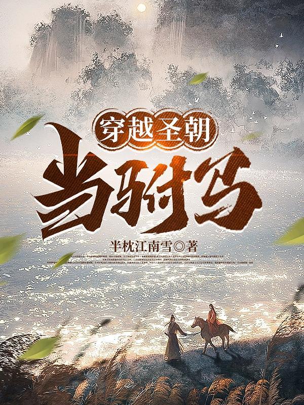 穿越成为驸马系列