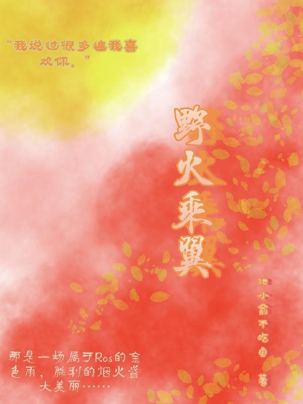 野火 lwip