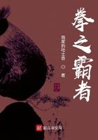 拳之霸者境界设定