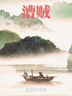 漕贼 手机看书网