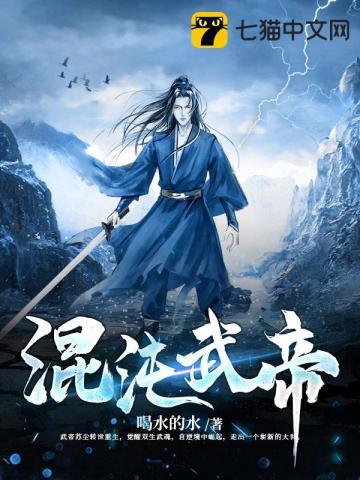 混沌武帝林辰