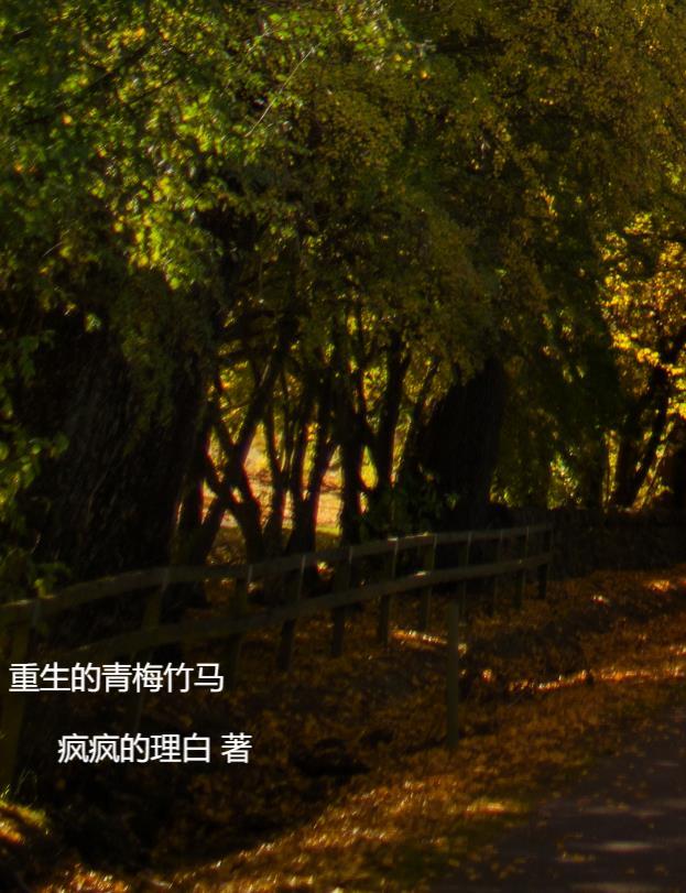 重生青梅竹马po