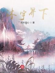 苏沐主角