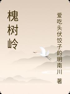 槐树岭四号院属于什么街道